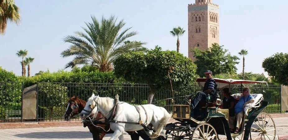 Horse-Drawn Carriage Marrakech Best Iconic Tour - Adghal Tours