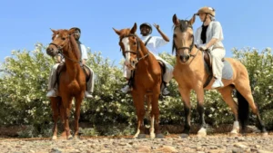 Marrakech: Palmeraie Horse Ride through Desert Oases and Berber Villages