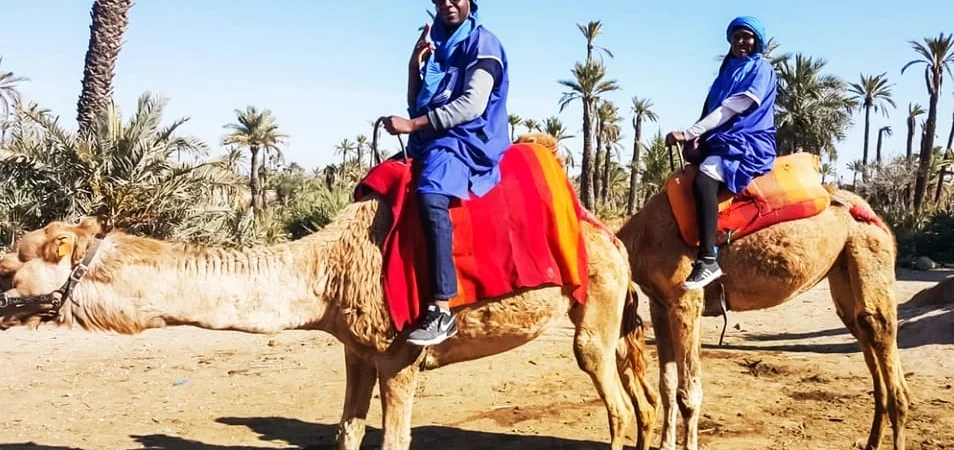 Camel Ride in the Palmeraie Oasis An Authentic Marrakech Adventure - Adghal Tours