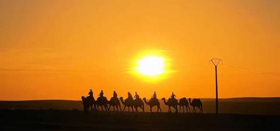 Agafay Desert Adventure Camel Ride Quad Biking Dinner and Show from Marrakech Adghal Tours