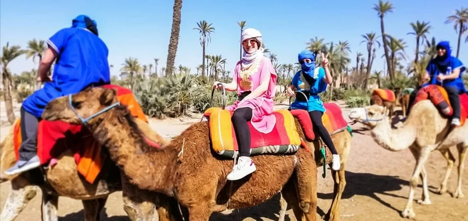 Camel Ride in the Palmeraie Oasis An Authentic Marrakech Adventure - Adghal Tours