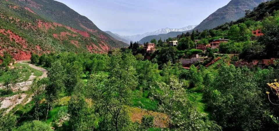 Explore Ourika Valley Waterfall Hike and Moroccan Lunch - Adghal Tours