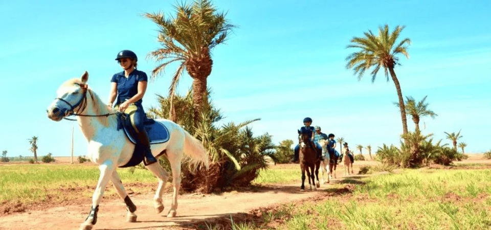 Marrakech Palmeraie Horse Ride through Desert Oases and Berber Villages - Adghal Tours