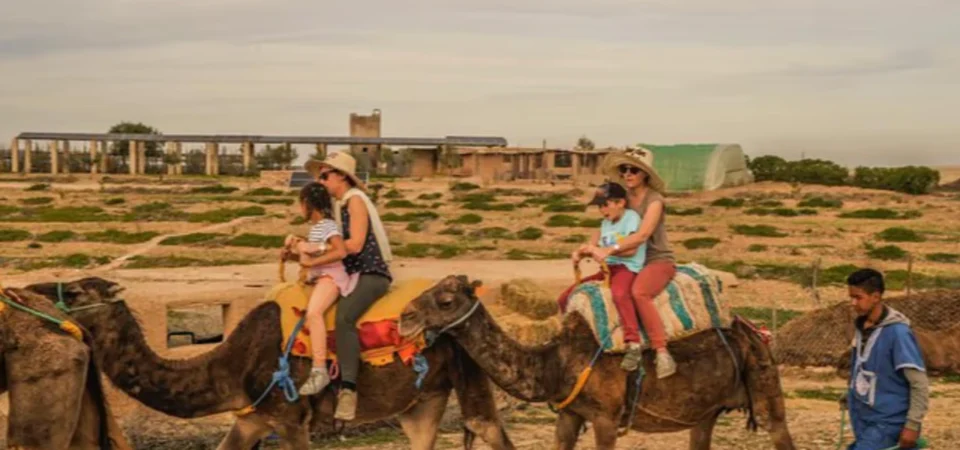 Agafay Desert Adventure Camel Ride Quad Biking Dinner and Show from Marrakech Adghal Tours