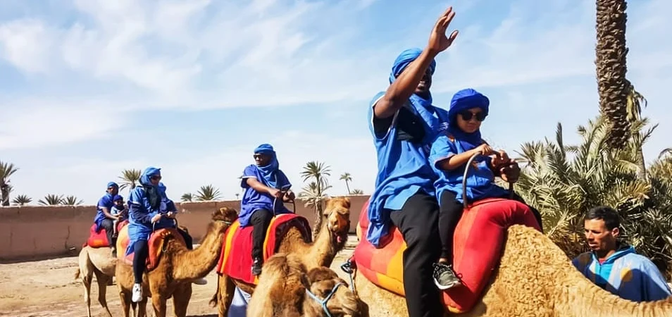 Camel Ride in the Palmeraie Oasis An Authentic Marrakech Adventure - Adghal Tours