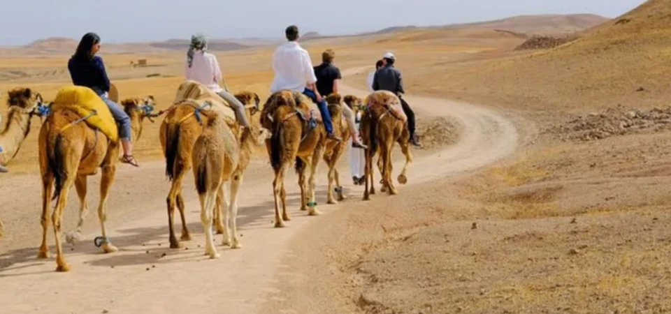 Marrakech Sunset Camel Ride Gourmet Dinner and Fire Show in the Agafay Desert Adghal Tours