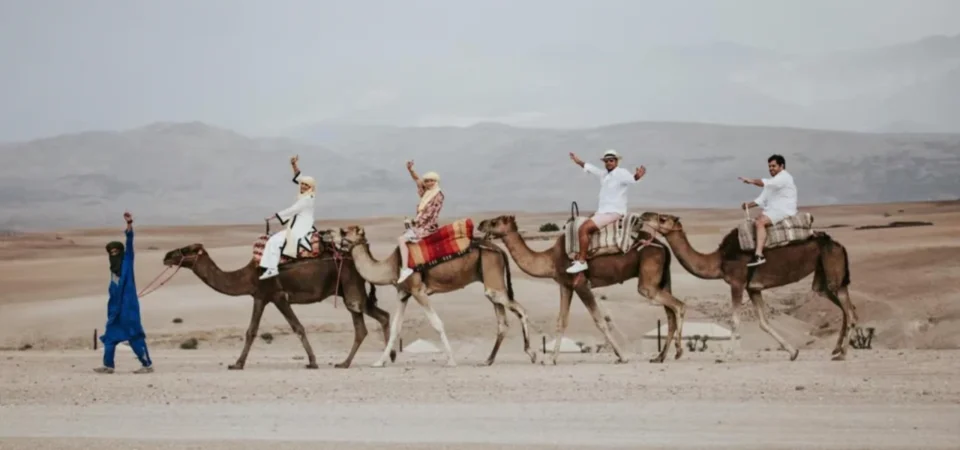 Marrakech Sunset Camel Ride Gourmet Dinner and Fire Show in the Agafay Desert Adghal Tours