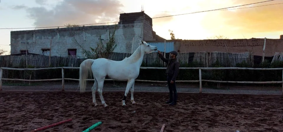 Marrakech Palmeraie Horse Ride through Desert Oases and Berber Villages - Adghal Tours