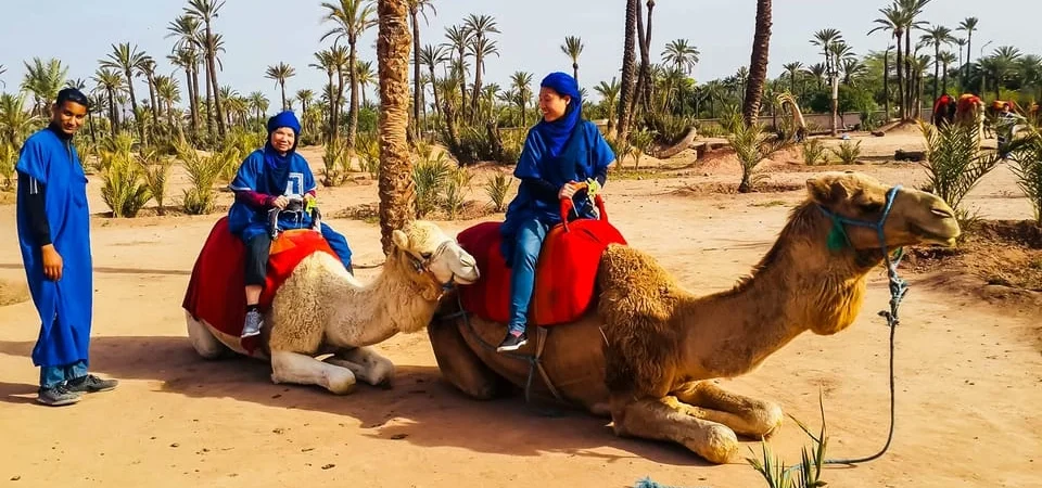 Camel Ride in the Palmeraie Oasis An Authentic Marrakech Adventure - Adghal Tours