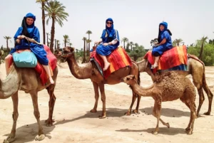 Camel Ride Palmeraie Oasis: An Authentic Marrakech Adventure