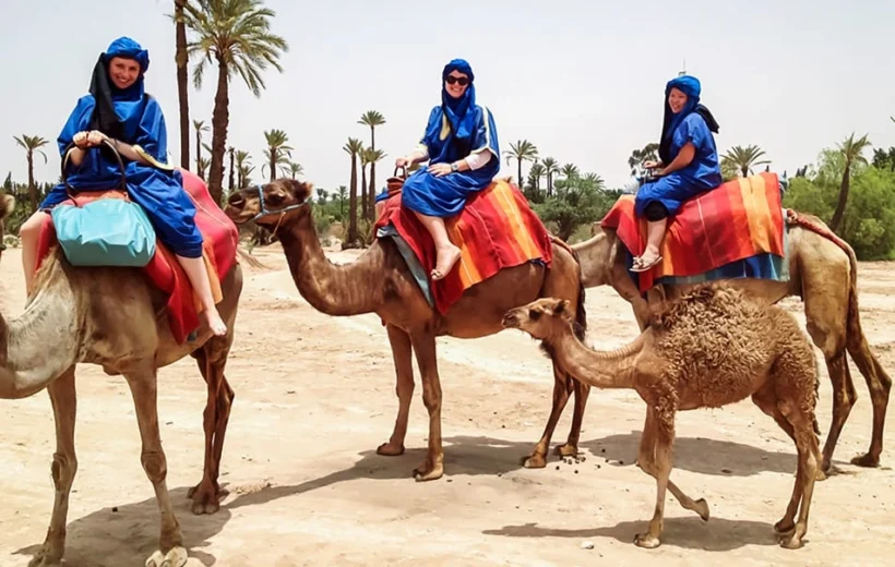 Camel Ride Palmeraie Oasis: An Authentic Marrakech Adventure