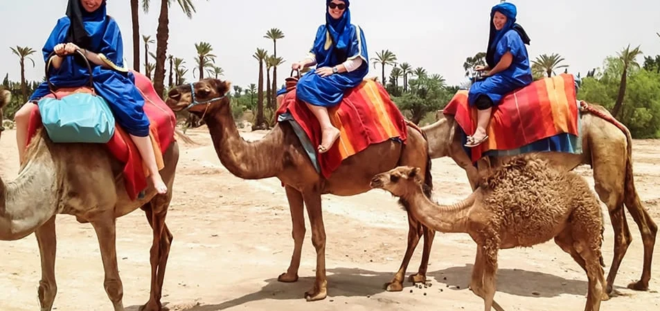 Camel Ride Palmeraie Oasis: An Authentic Marrakech Adventure | Adghal Tours