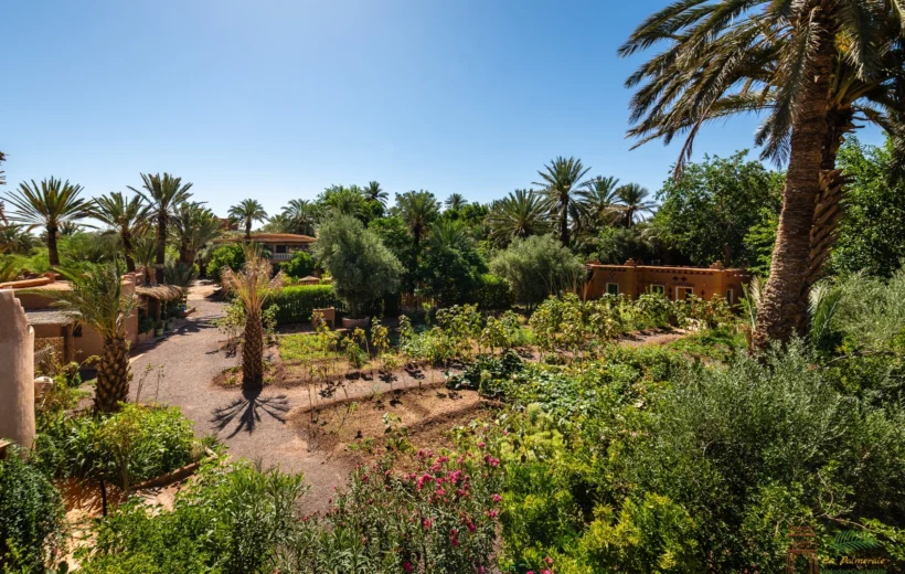 Ecolodge-Palmeraie-Ouarzazate-Chambre-Jardin | Adghal Tours