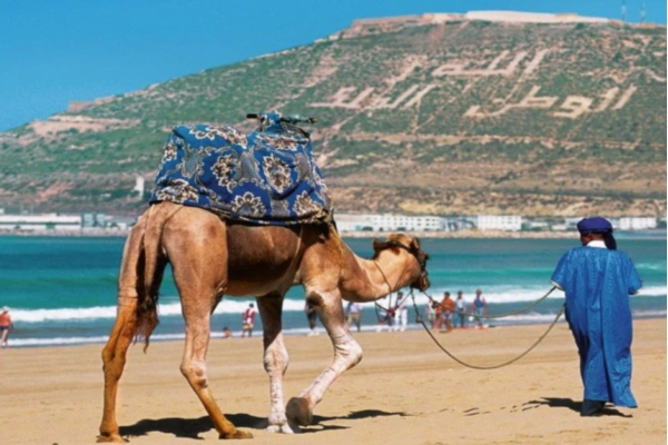 Excursions Agadir