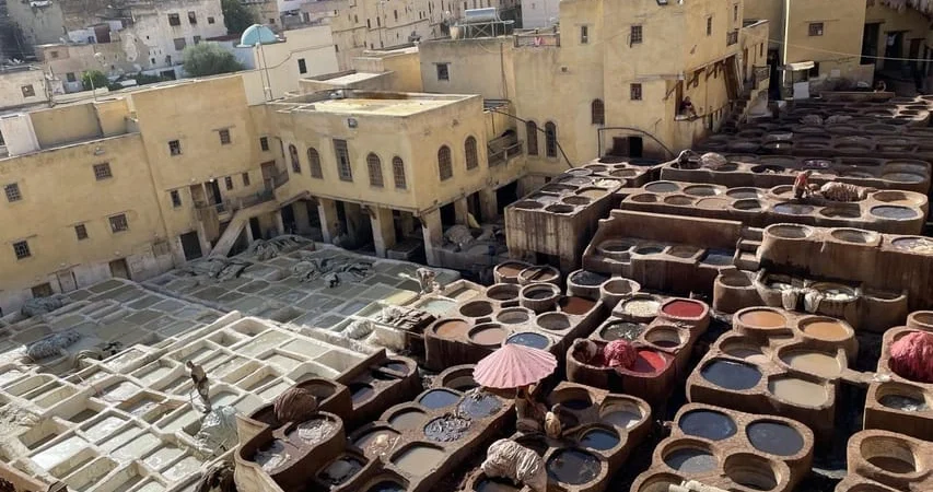 Fes Walking Tour 1 Day Explore Medina and Historic Sites - Adghal Tours