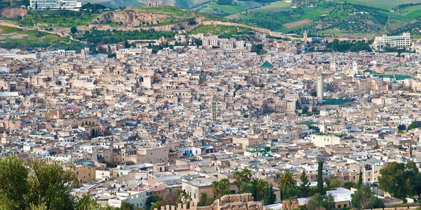 Free walking tour Fes Expert Guides and Authentic Tours - Adghal Tours