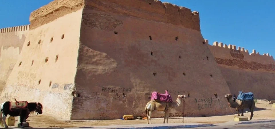 Agadir City Tour: Kasbah, Market & Coastal Views Marrakech - Adghal Tours