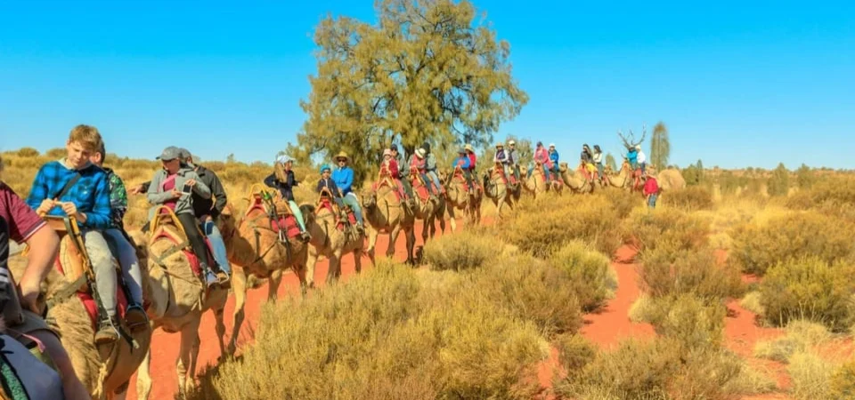Marrakech to Agadir Camel Ride & Flamingo Tour - Adghal Tours