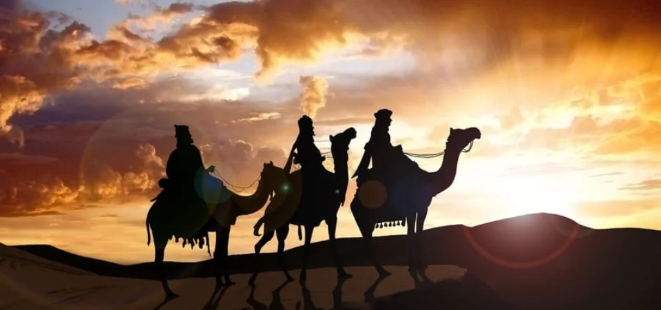 Marrakech to Agadir Camel Ride & Flamingo Tour - Adghal Tours