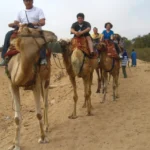 Gallery Thumbnail 5