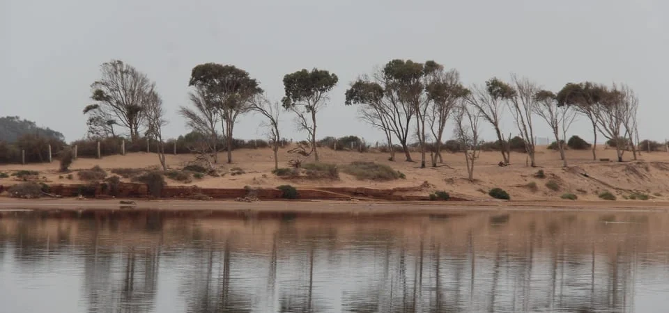 Marrakech to Agadir Camel Ride & Flamingo Tour - Adghal Tours