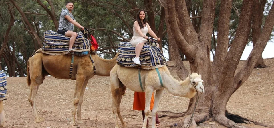 Marrakech to Agadir Camel Ride & Flamingo Tour - Adghal Tours